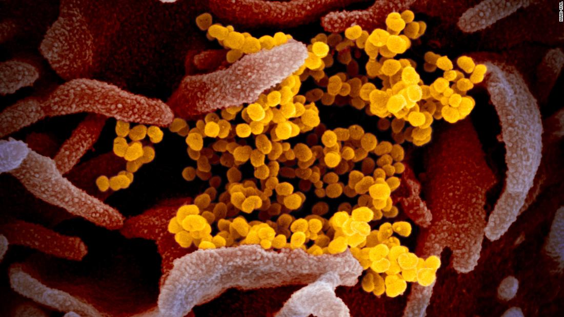 Pandemie Coronavirus: Actualizări la nivel mondial